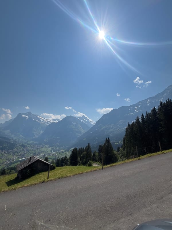 Sunny morning in Grindelwald's alpine valley