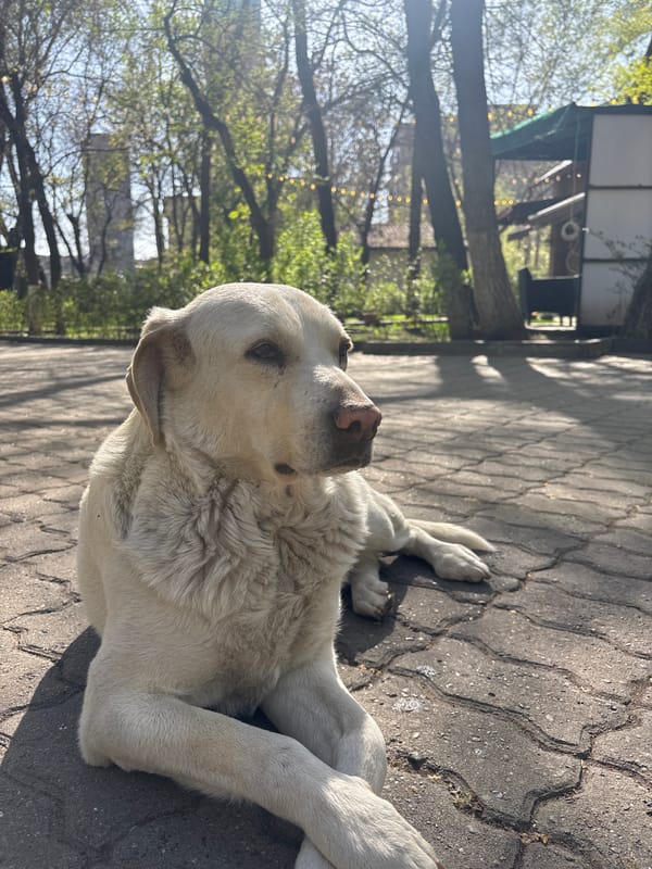 Spring afternoon park visit documented in Yerevan, Armenia