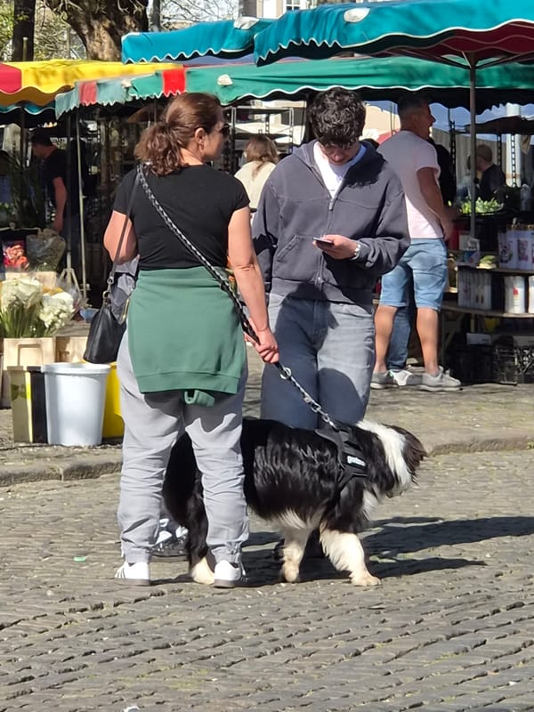 Saturday morning market scenes documented in Barcelos, Portugal