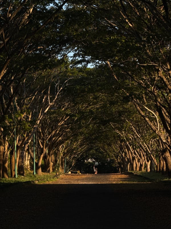 Quiet tree-lined trail in Kuta Selatan on a sunny morning
