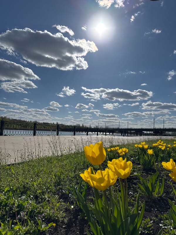 Spring tulips bloom along Kryvyi Rih waterfront promenade