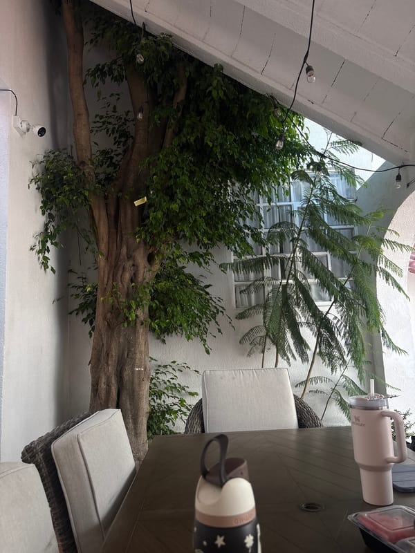 Woman works remotely at outdoor cafe in Puebla
