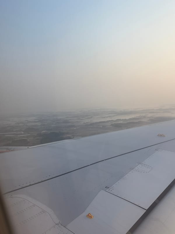 Aircraft passenger documents wing view over hazy Shibayama landscape
