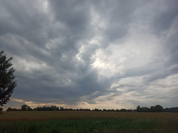 Stormy skies and a blooming rose, an hour apart