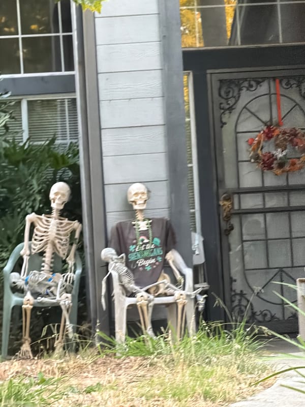 Skeleton decorations staged outside an Elk Grove home