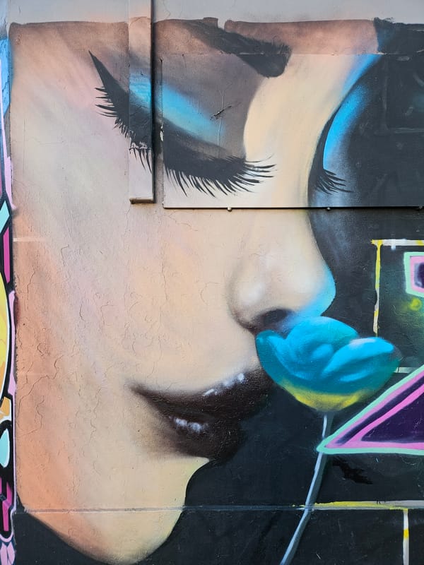 Street art documentation tour captures Temuco's vibrant mural scene