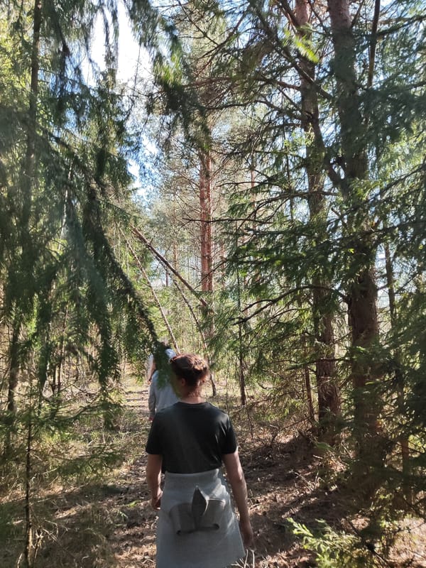 Forest hikers and river gatherings documented in wooded area