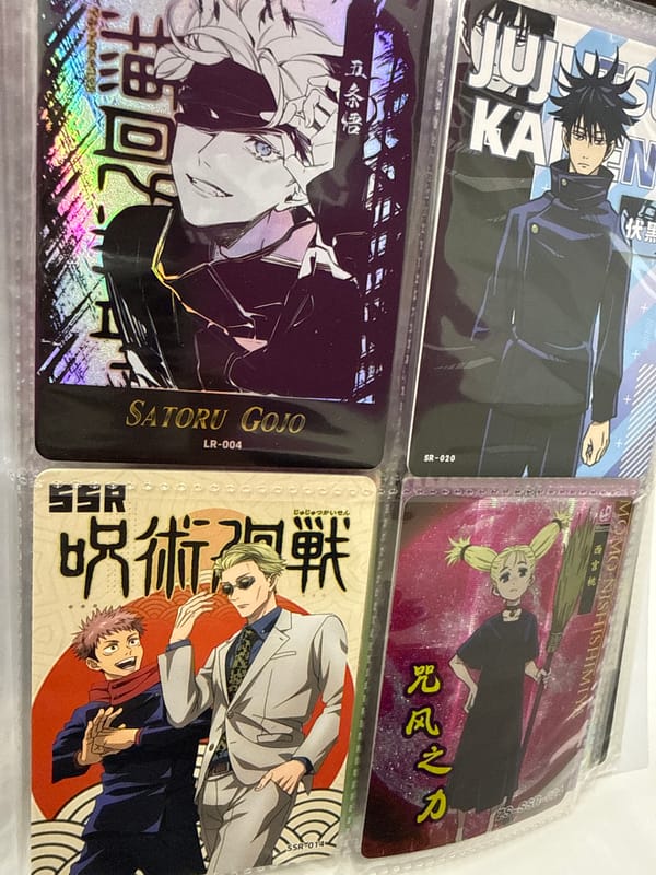 Collector Documents Organized Trading Card Collection in Izhevsk