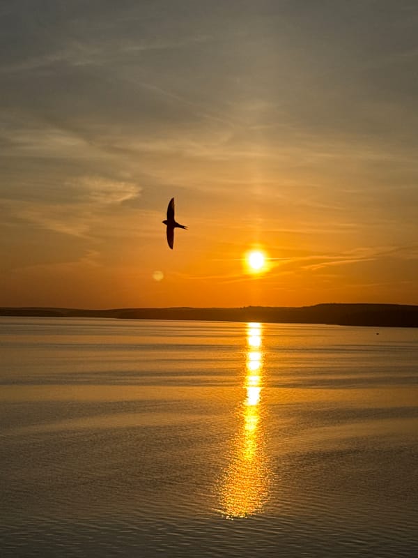 Evening sunset scenes captured around Votkinsk Reservoir, Russia