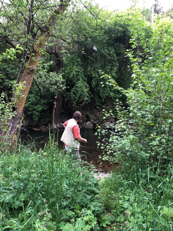 Fly fisherman casts in rocky stream near Svoge, Bulgaria