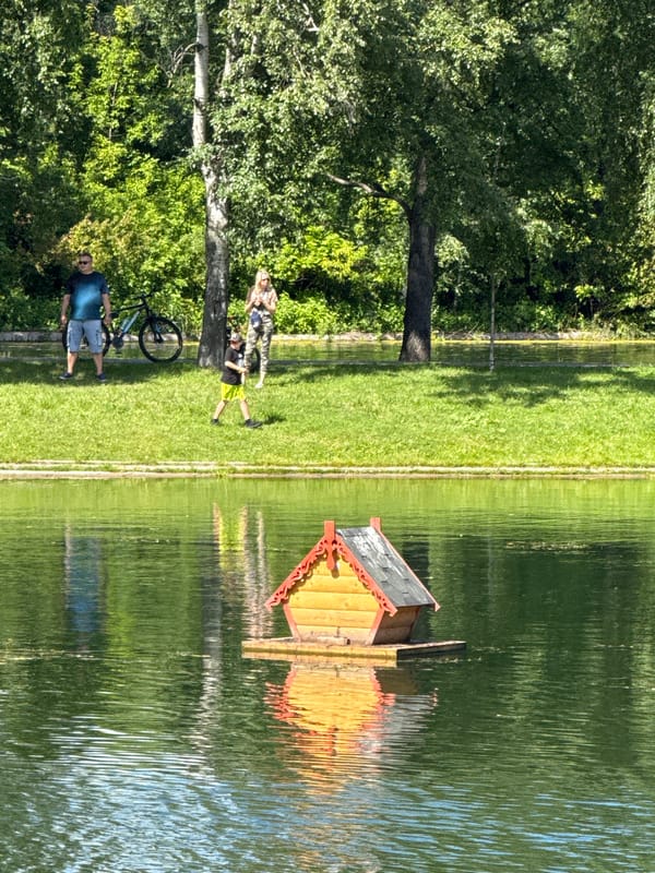 Lazy summer afternoon at a Moscow park waterfront