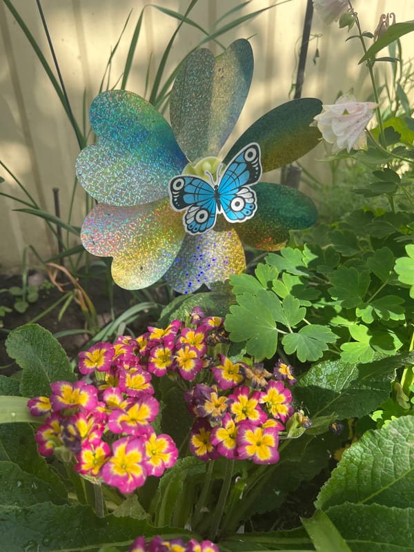 Decorative flower pinwheel spotted in Ufa garden
