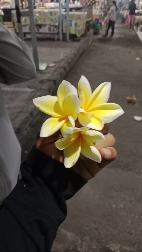 Denpasar markets and street food scenes, day into night
