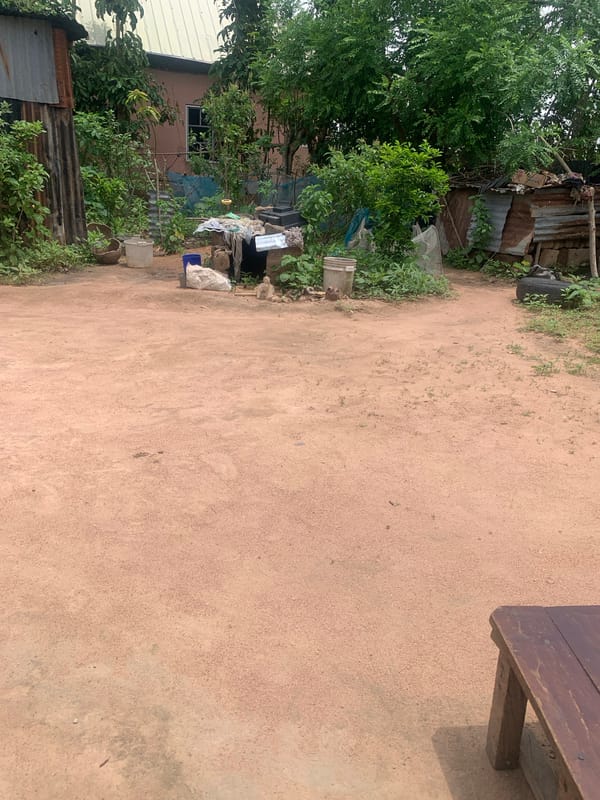 Daily life scenes documented across Jalingo, Nigeria