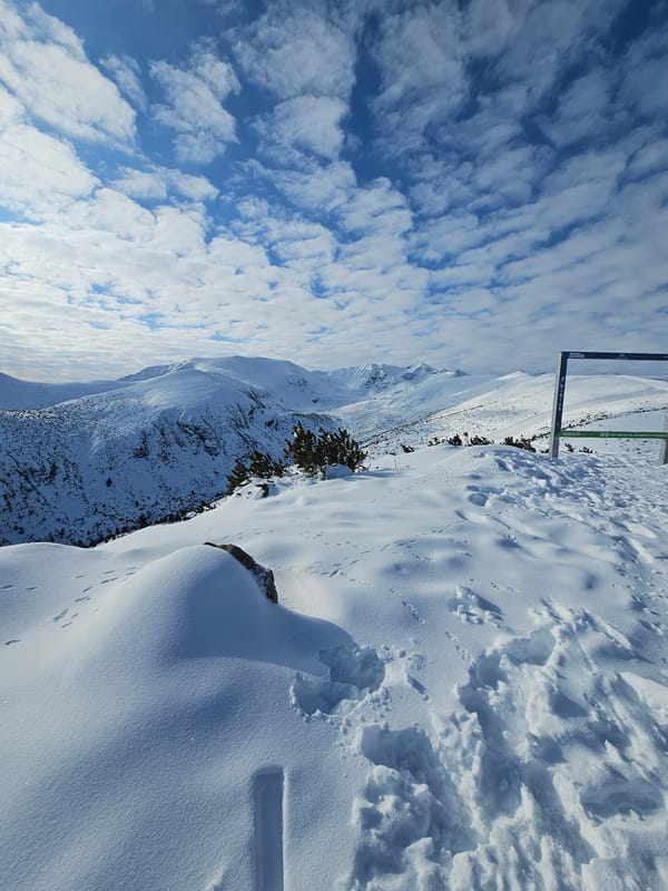 Winter landscapes documented in Bulgarian mountain resort region