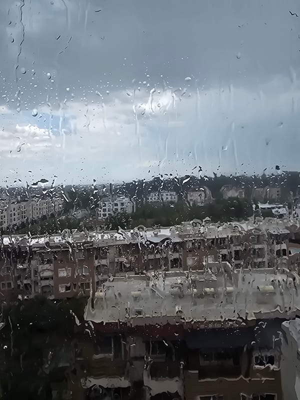 Rainy morning cityscape and swallow nest documented by witness