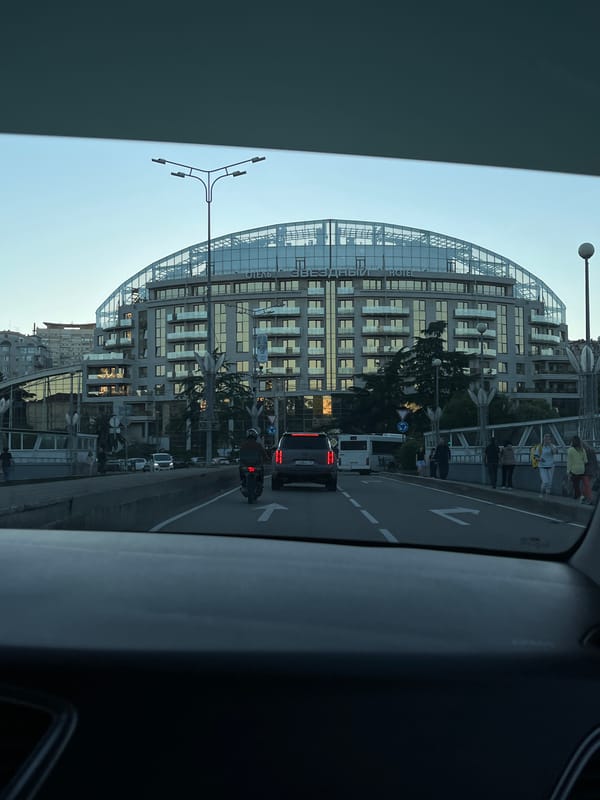 Sochi resident documents street scene and floral artwork