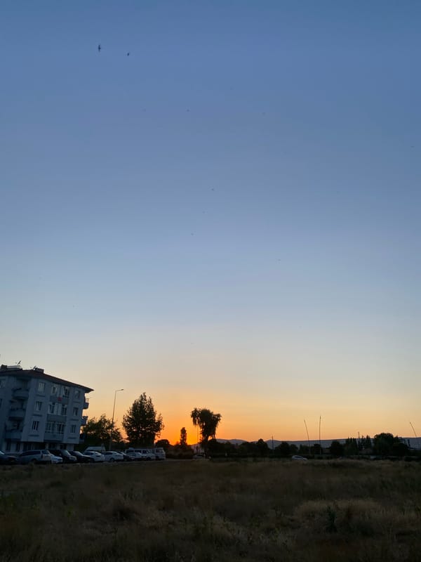 Golden hour in a Kocasinan field, sky and wildflowers