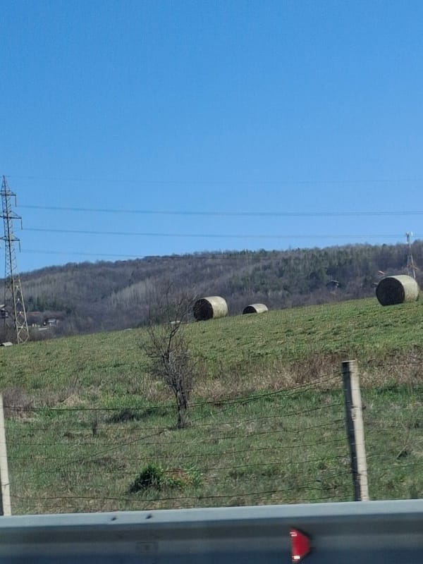 Rural landscape with hay bales documented near Rajana, Bulgaria