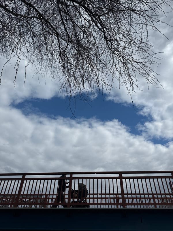 Morning scenes documented across Carnikava, Latvia parks and riverside