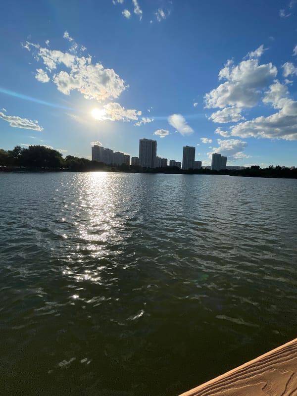 Sunny afternoon at a Moscow lakeside park