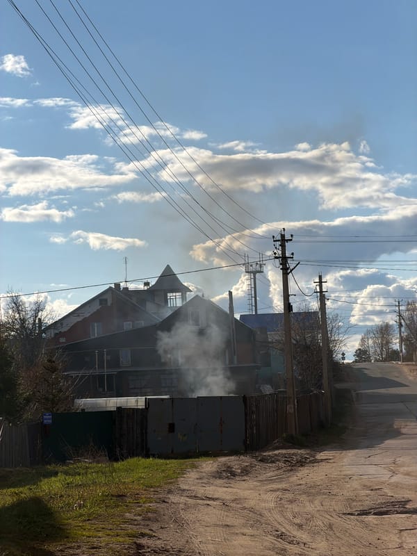 Black cat observed in rural Noviy under dramatic skies