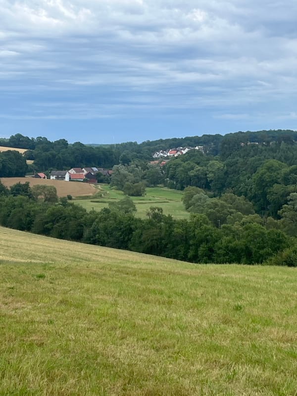 Cloudy summer fields and wildflowers across central Hesse