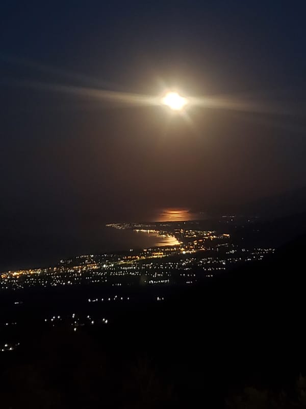 Moonlit coastal city photographed from above at dusk