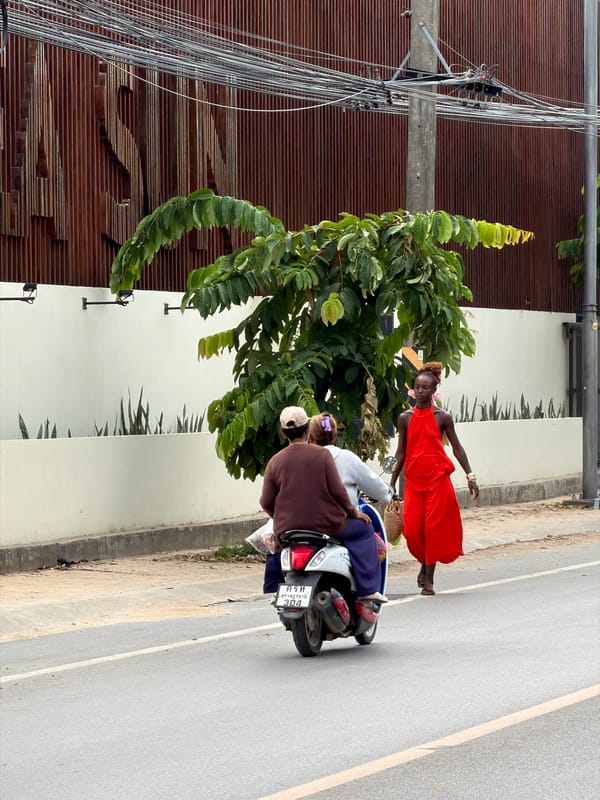 Ko Samui morning: street scenes, a beach swing, and palm hills