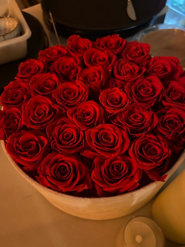 Red roses photographed in container in Barcelona