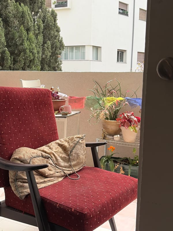 Tel Aviv resident documents quiet morning moments from balcony