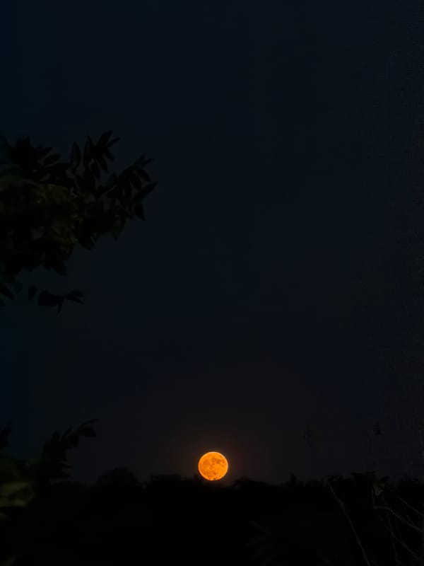 Dusk over Lovech: fortress walls, city views, and a rising orange moon