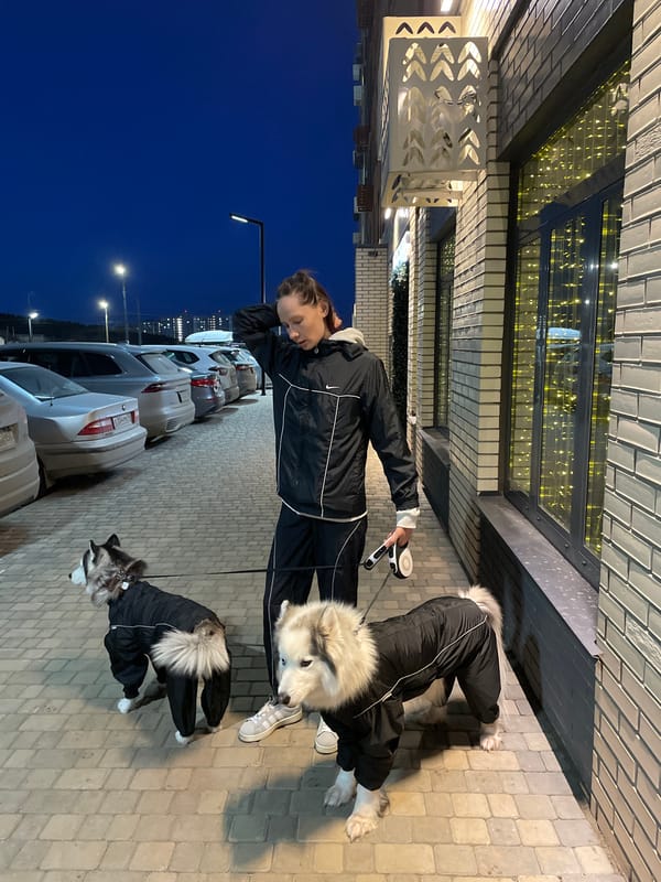Evening street scenes with dog walker and pedestrians in Izhevsk