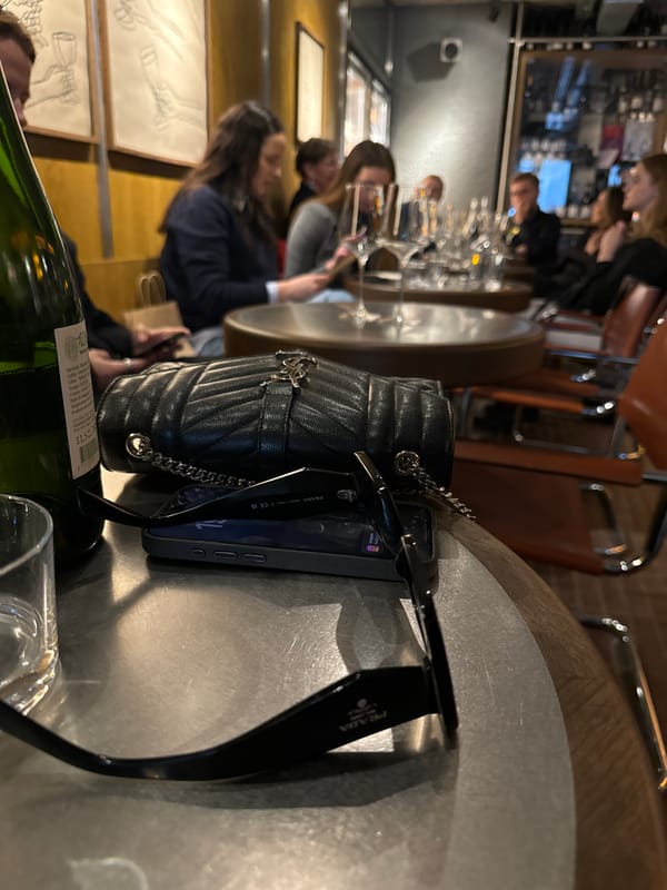 Group dinner gathering at Riga restaurant with wine and food