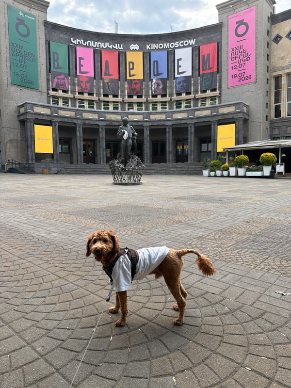 A dressed-up dog wanders a plaza with striking public sculptures