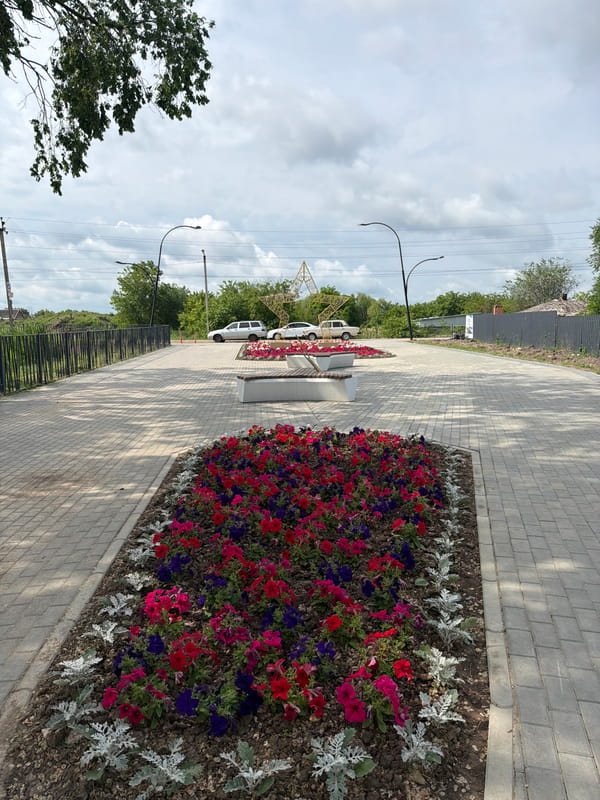 Morning park walk documented in Leningradskaya Russia
