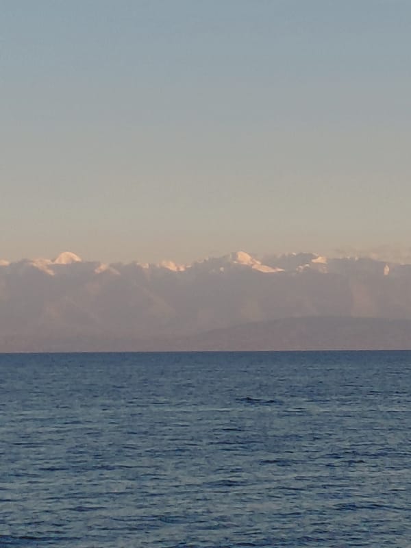 Calm blue water and a clean horizon line.