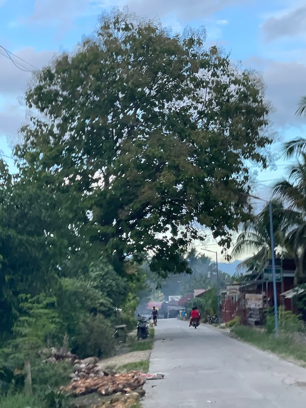 Rural morning life documented in Kiblawan, Philippines countryside