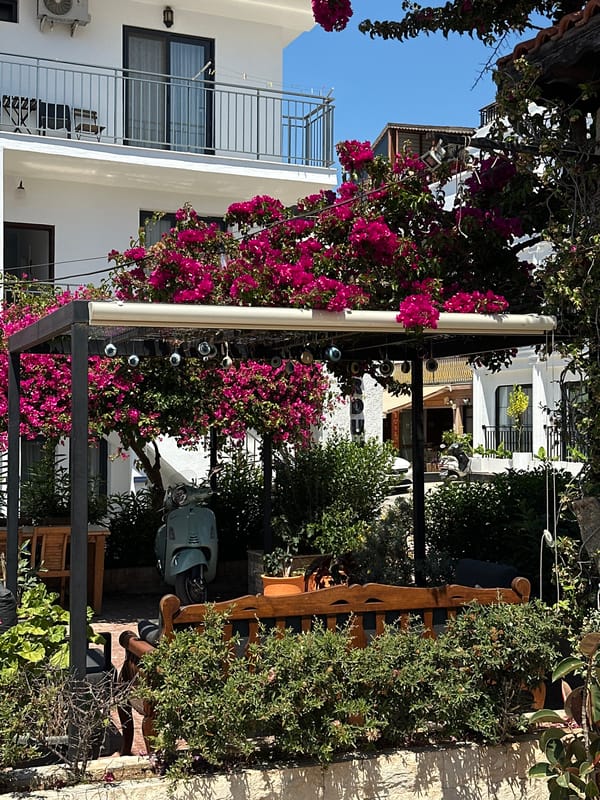 Morning scenes captured at Kaş resort complex, Turkey