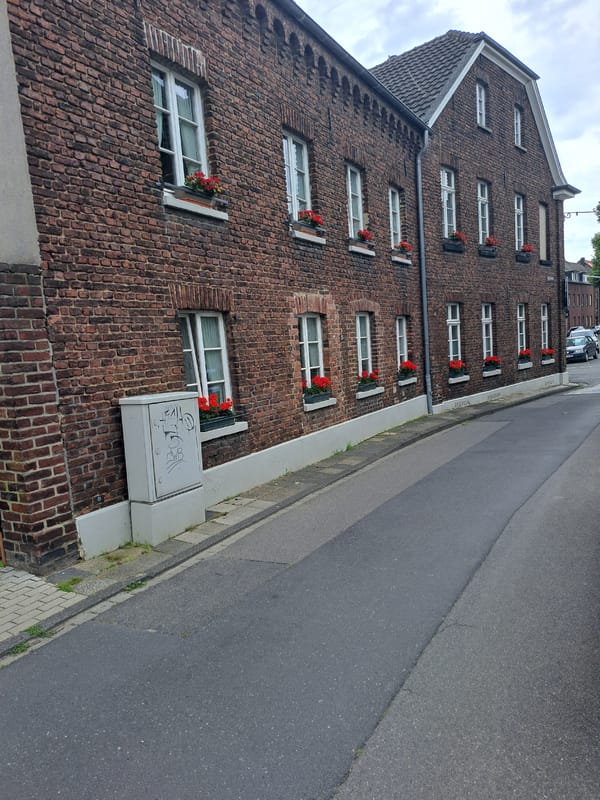 Witnesses Document Mixed Urban Residential Area Buildings