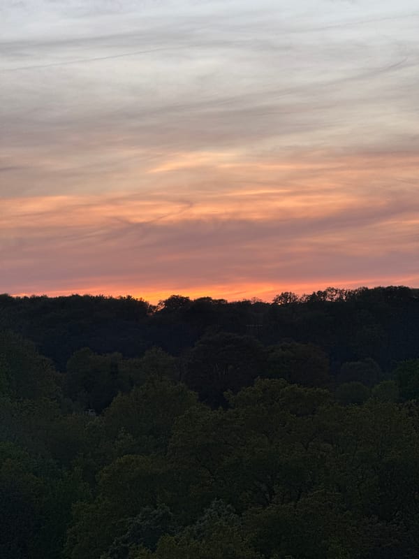Two men walk forest paths at sunset in Bures-sur-Yvette