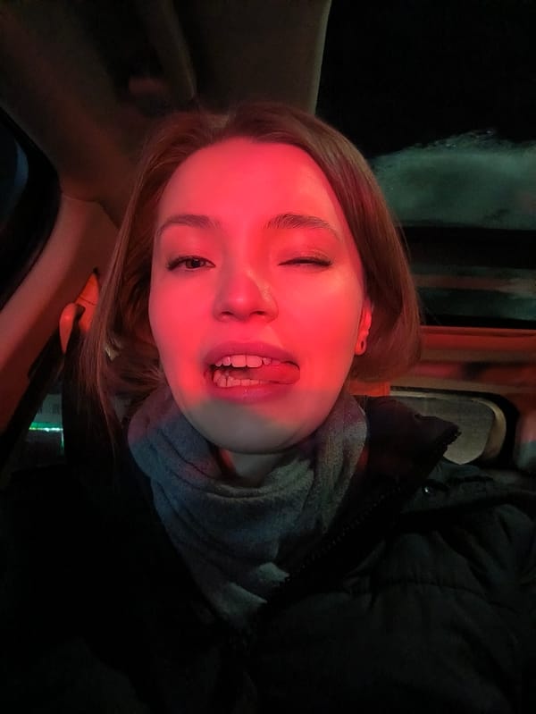 Woman takes playful car selfies in red light, Vinnytsia