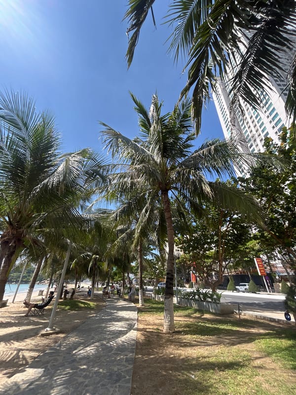 Early morning scenes documented in Nha Trang beachfront area