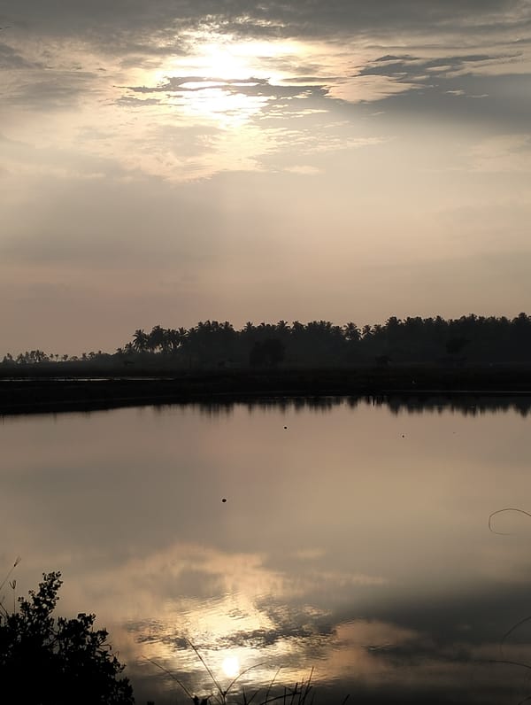 Peaceful sunrise scene captured in Nasebarat, Indonesia
