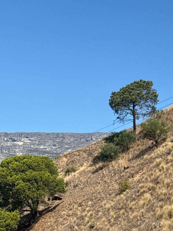 Clear skies frame Table Mountain views in Cape Town