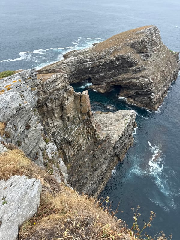 Bell-collared goat roams the clifftops above Cudillero's rugged coastline