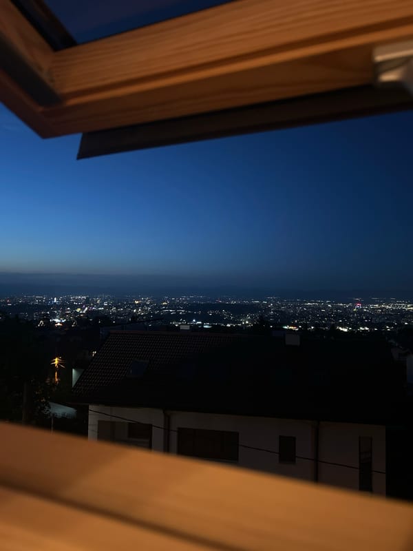 Evening in at home: skyline views, rest, and bathroom selfies