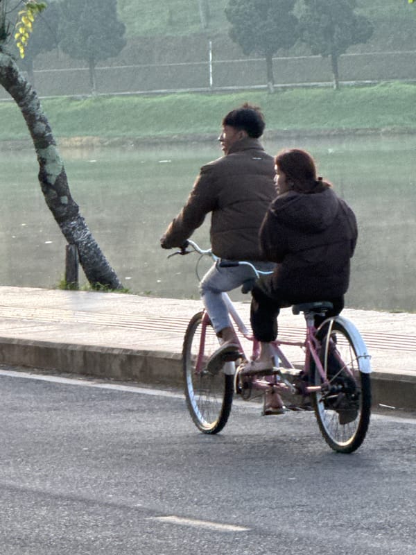 Evening cycling and walking activities observed around Đà Lạt lake