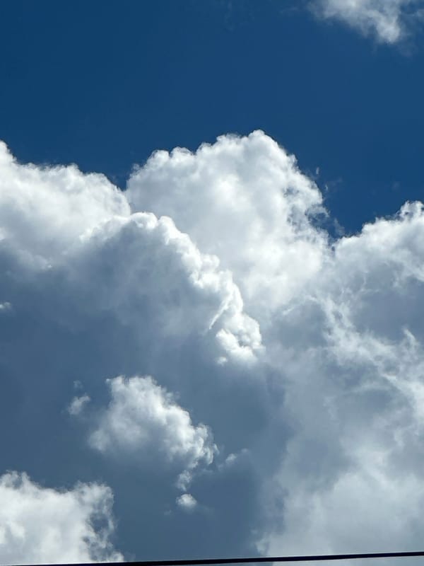 Cat naps and cloud watching on a busy morning sky