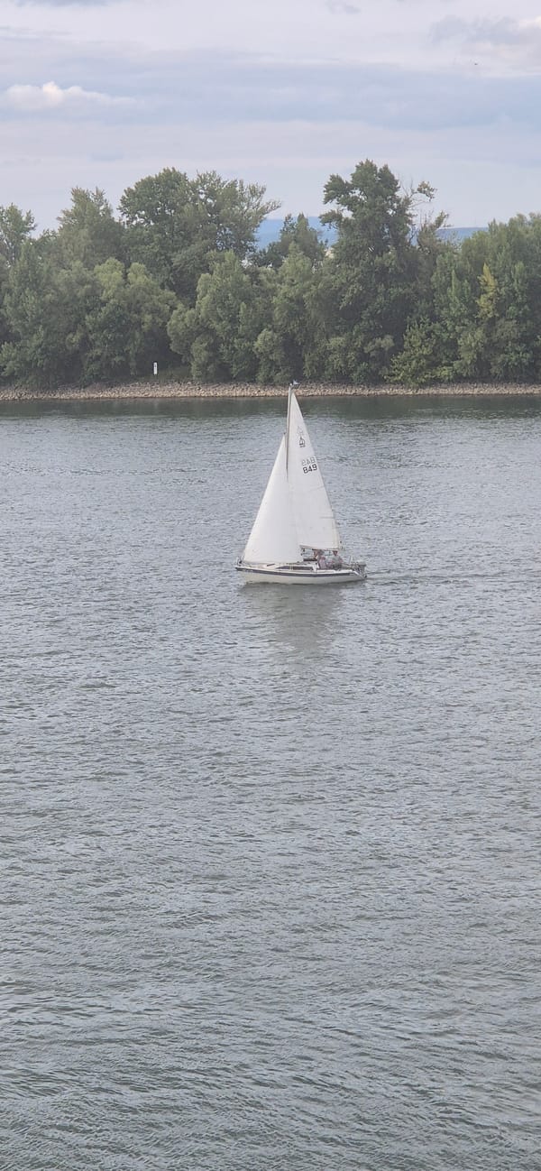 Sailboat and cargo barges share the Rhine in Mainz